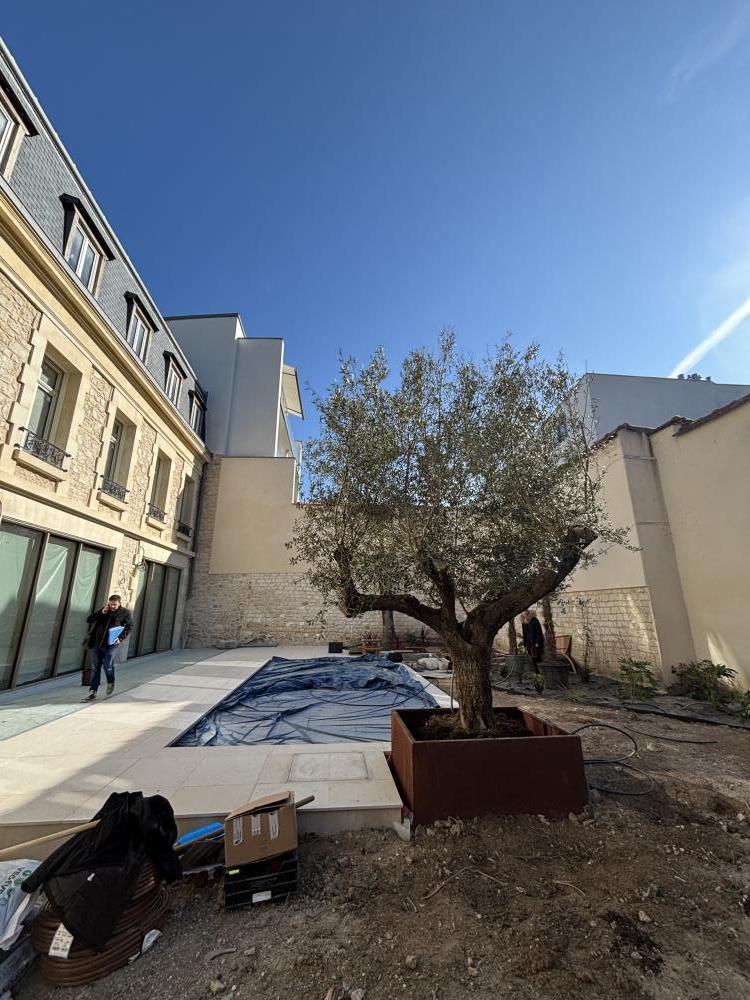 Conception et réalisation jardin Reims